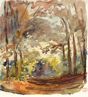 Blick in einen bunten Herbstwald 