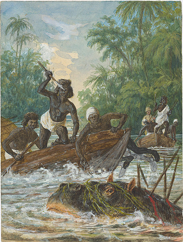 Nilpferdjagd in Afrika