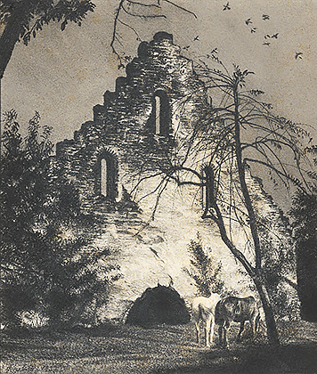 Ruine im Klosterpark Altzella
