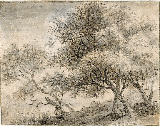 Trees on a Slope 