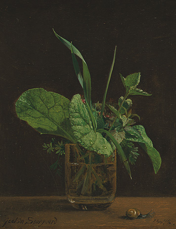 Still-life with Herbs in a Glass